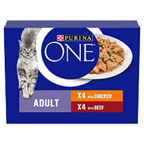 PURINA ONE Mini Fillets Chicken Cat Food Purina